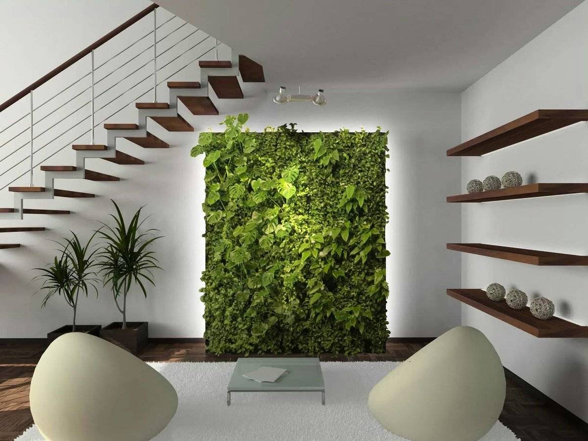 Вертикальное озеленение в интерьере своими руками- растения +фото и видео