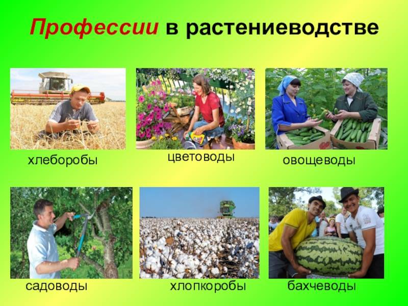 Изменения в законе о садоводствах и огородничествах – актуальность с 14 июля 2022 года
