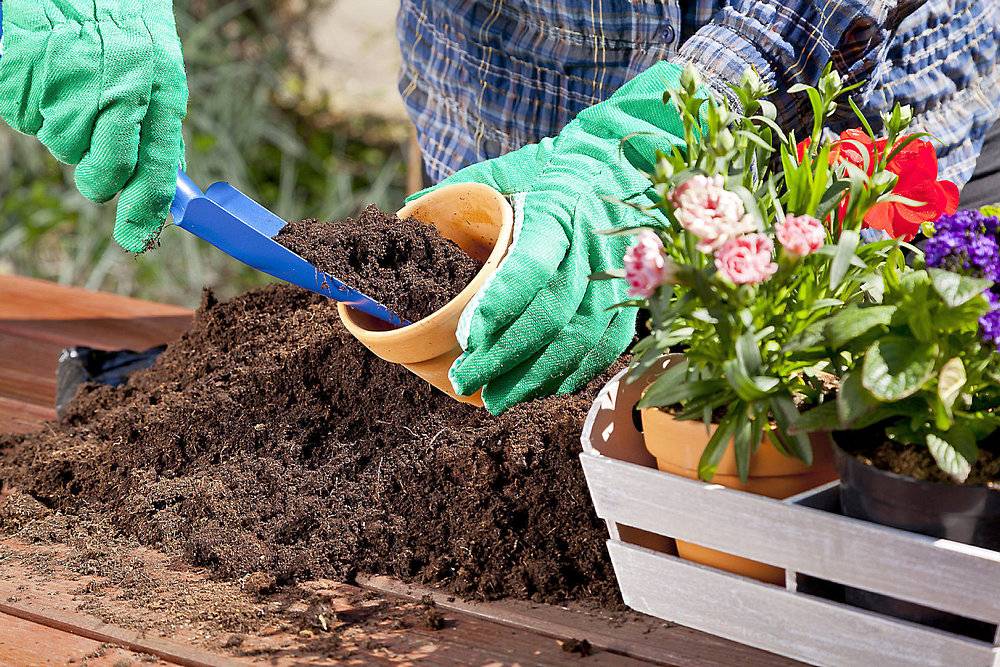 Почва для посадки комнатных растений