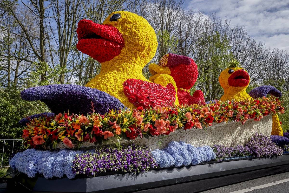 Парк кёкенхоф и парад цветов в голландии 2022