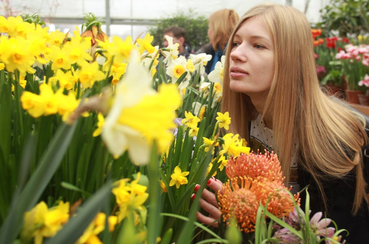 Выставка орхидей в аптекарском огороде 2022. что посмотреть на фестивале "тропическая зима"