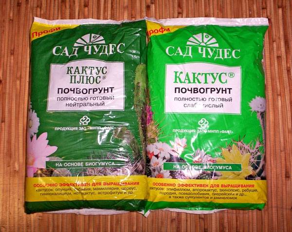Грунт для кактусов: основные требования к почве и варианты в домашних условиях - pocvetam.ru