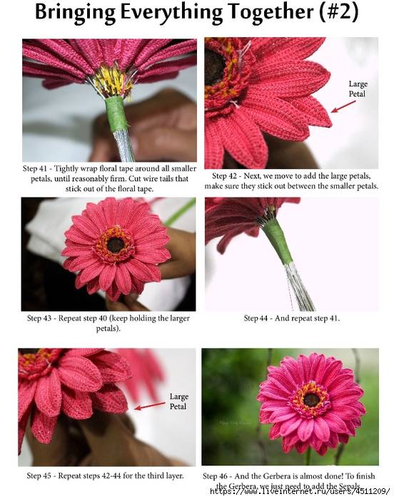 Цветок гербера: как выглядит, а также особенности культуры, описание видов и сортов и фото, чтобы наглядно показать растение