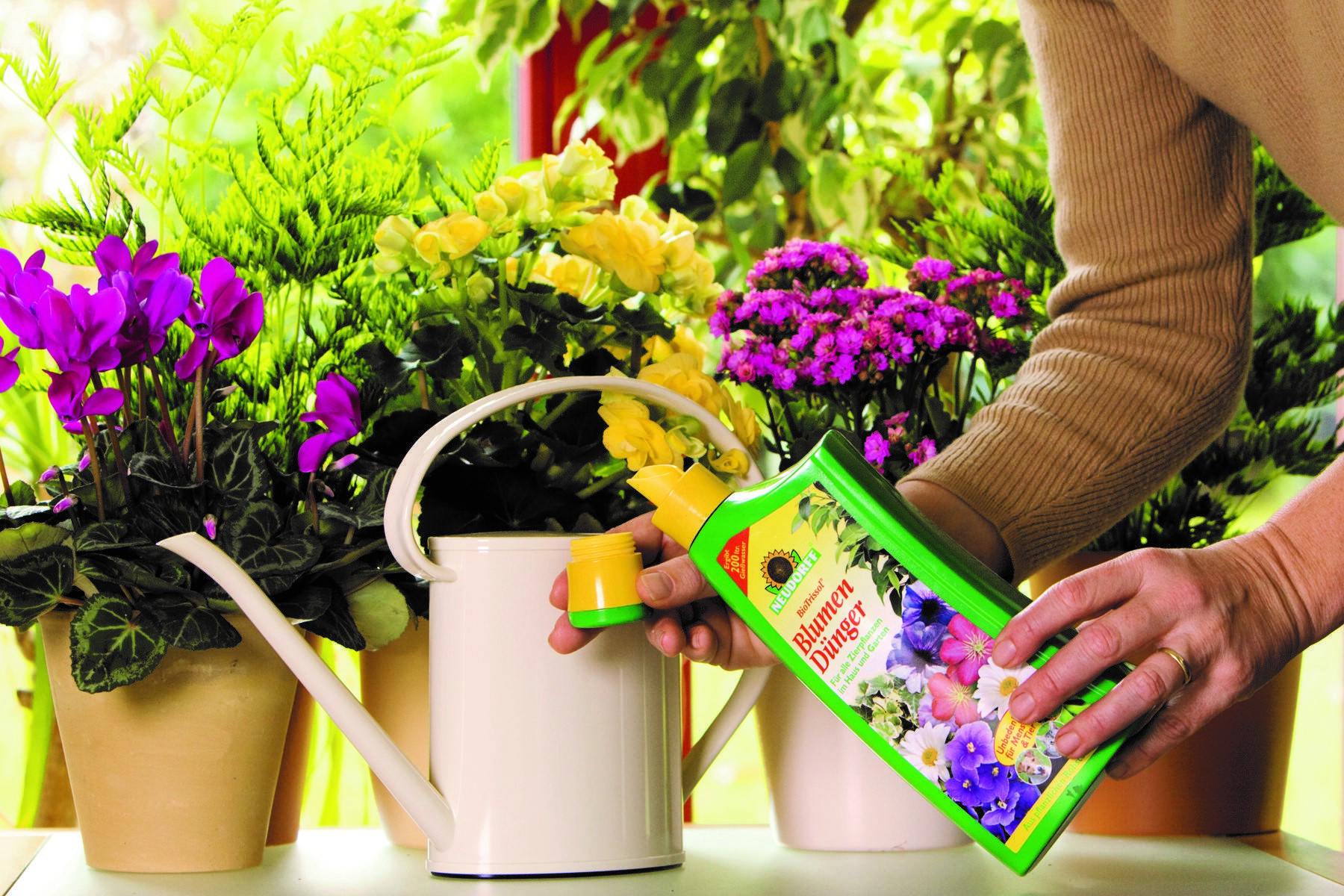 Удобрения для комнатных растений: чем подкормить цветы в домашних условиях