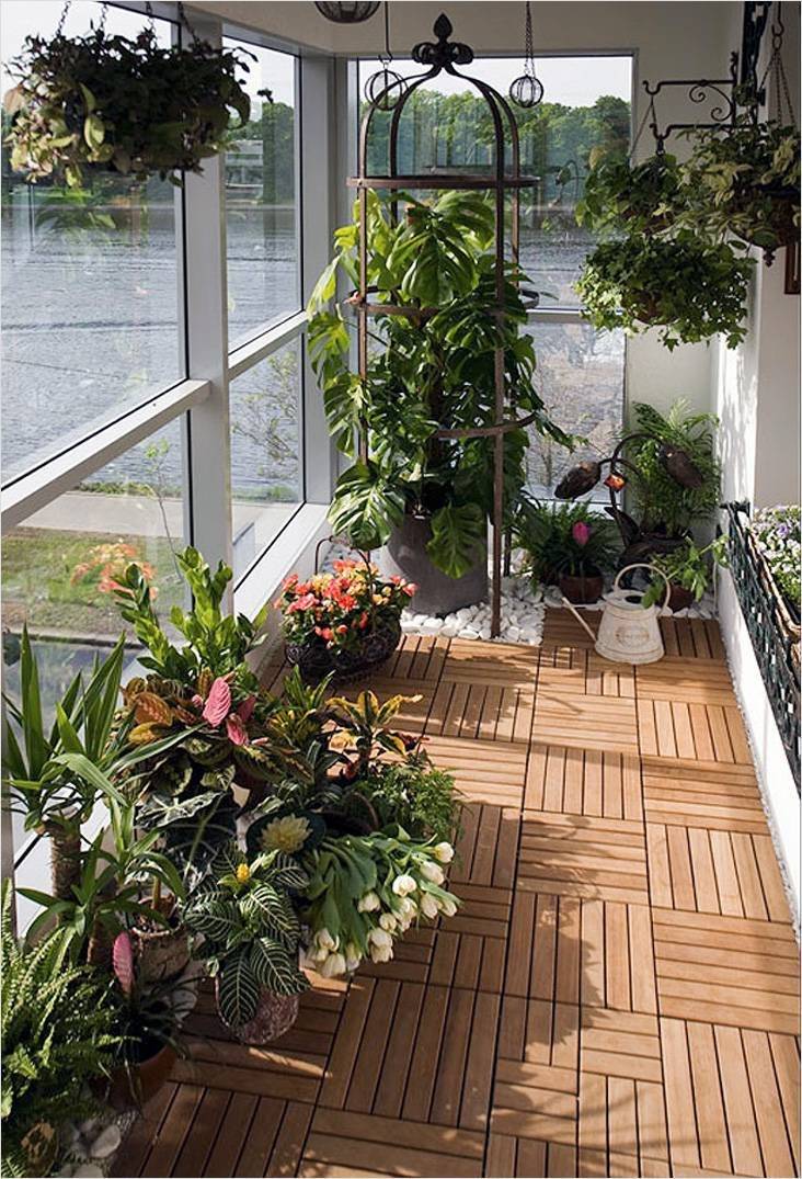 Зимний сад на балконе или озеленение балкона своими руками — викистрой