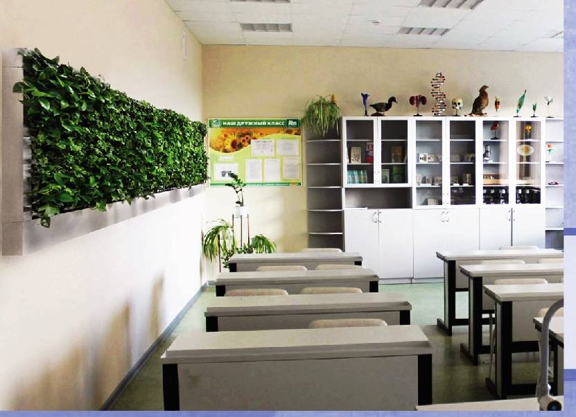 Комнатные растения в интерьере школы презентация, доклад