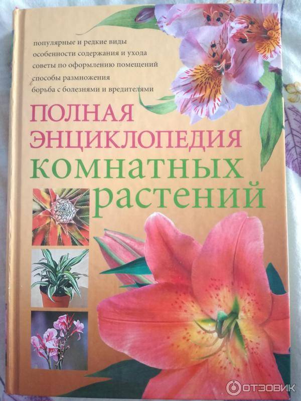 Энциклопедия комнатных растений. семена комнатных растений: виды, названия, каталог.