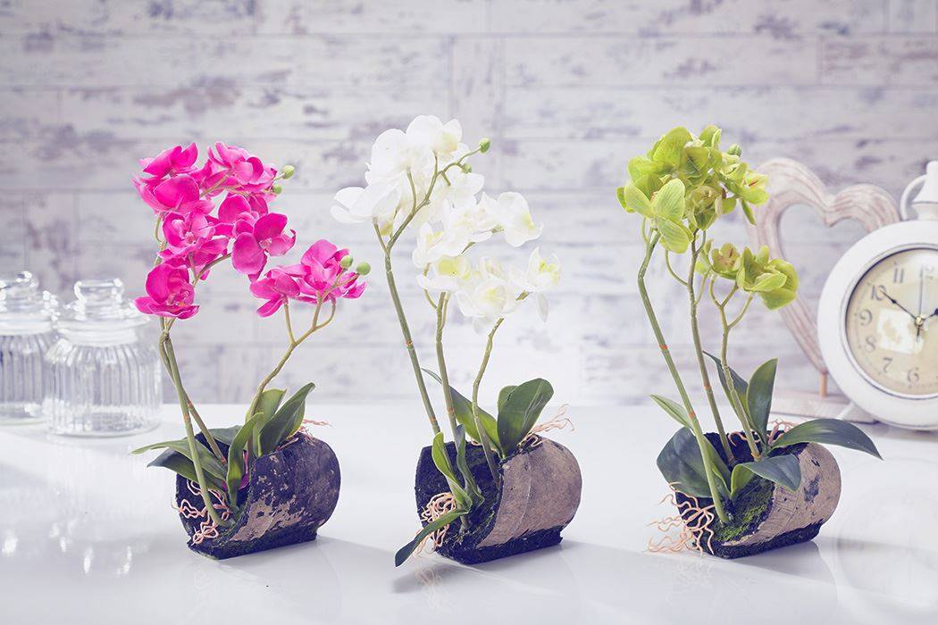 Выбор горшка для орхидей, какой лучше: двойной, прозрачный, керамический, кашпо