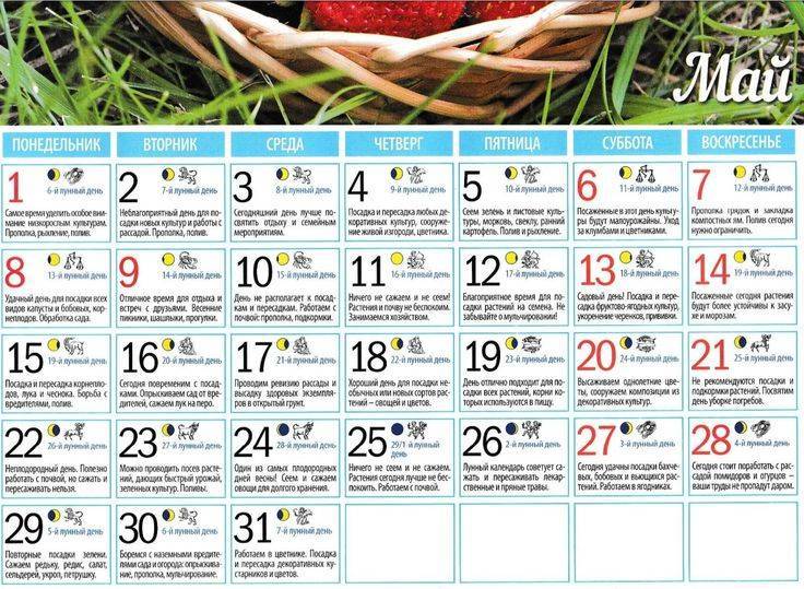 Календарь садовода, огородника и цветовода на 2023 год
