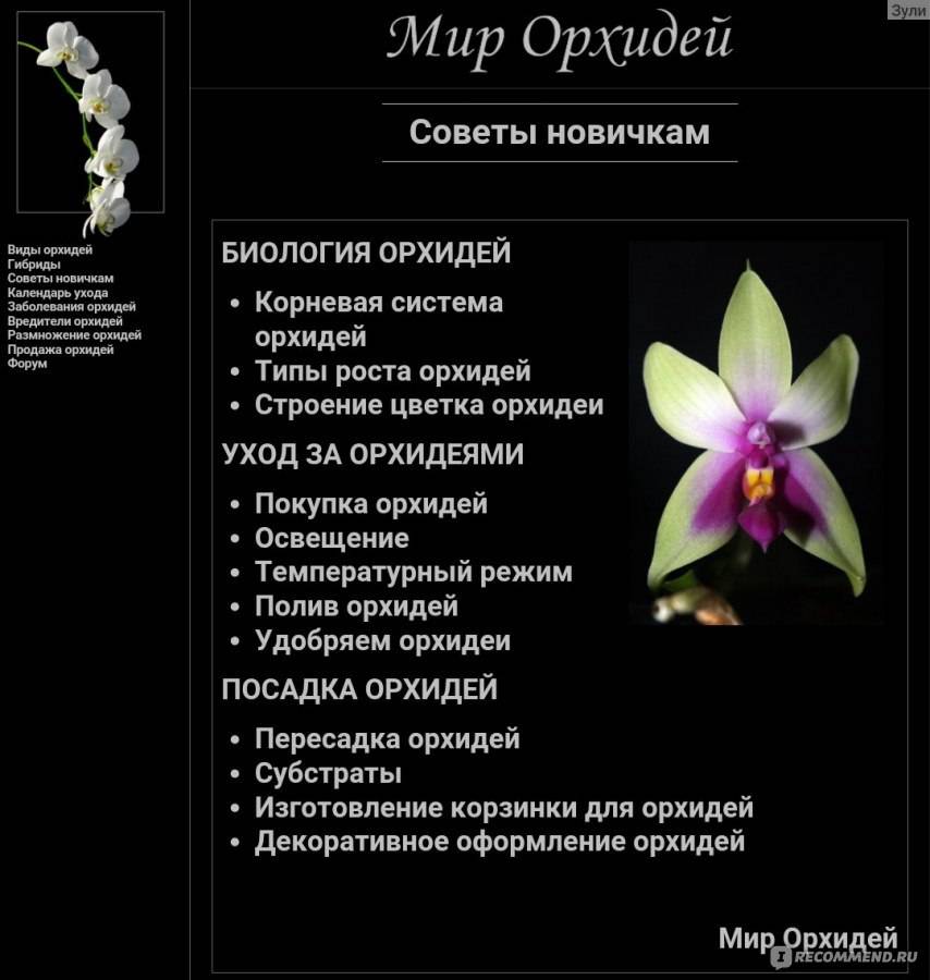 Как пересадить орхидею: 14 шагов (с иллюстрациями)