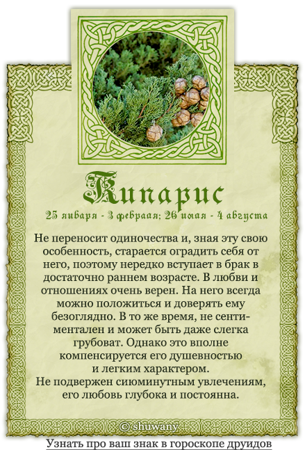 Календарь друидов деревья. древесный календарь