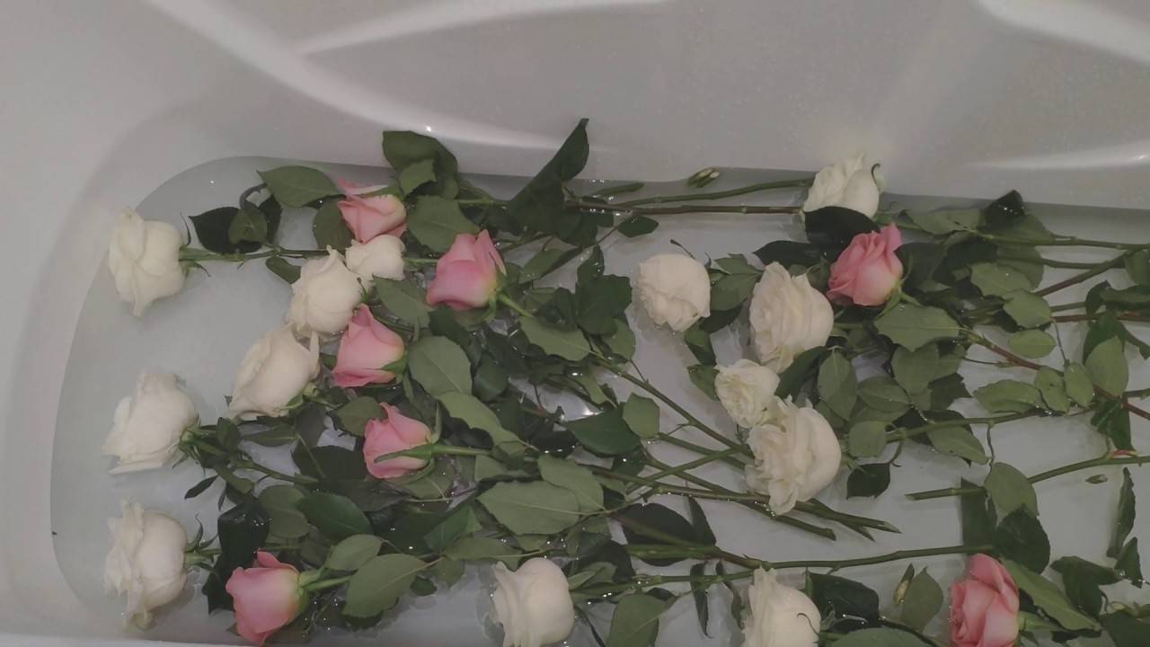 Как сохранить свежие розы в вазе. Реанимировать розы в вазе. Реанимировать розы в ванне. Оживляем розы в ванной. Оживление розы.