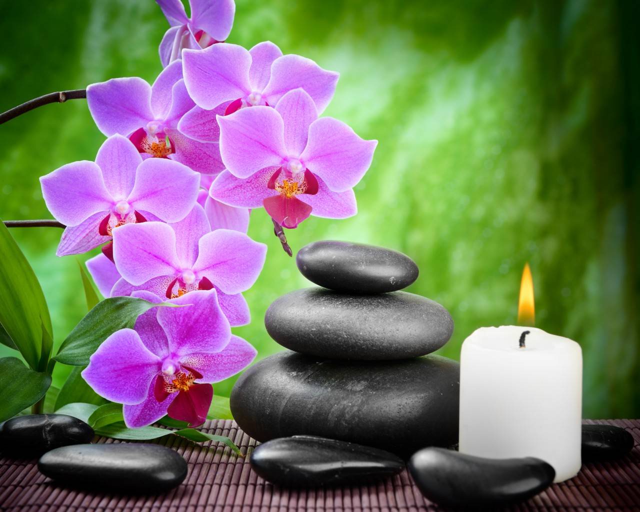 Орхидея в доме: хорошо или плохо | можно ли держать дома орхидею: приметы и суеверия | astro7