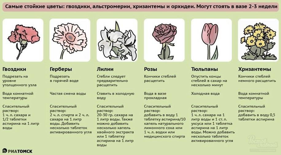 Цветы, которые долго стоят в вазе: названия, советы по уходу