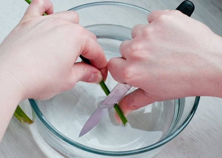 Как сохранить цветы в вазе подольше и способы реанимировать завядшие растения + отзывы