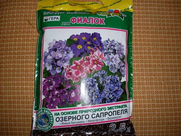 Чем подкормить фиалки для обильного цветения в домашних условиях