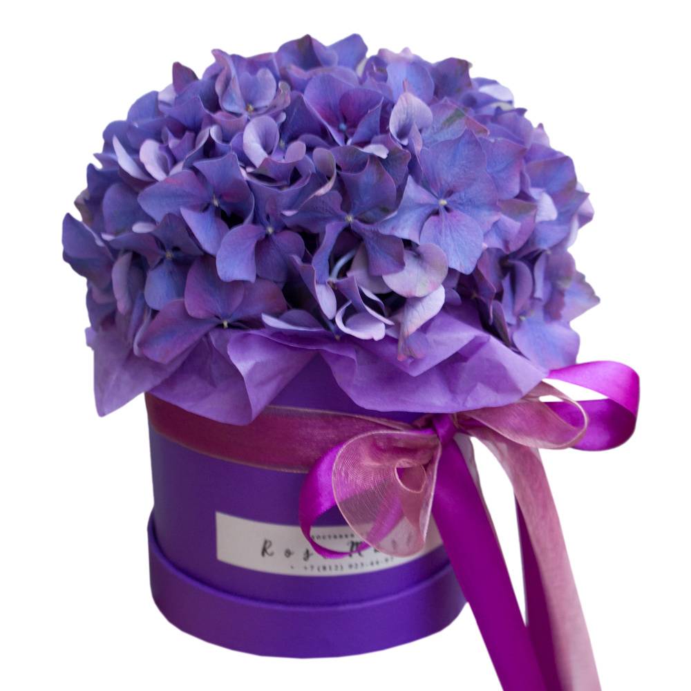 Цветок в горшке – удачный подарок ко дню рождения. оставьте приметы для суеверных