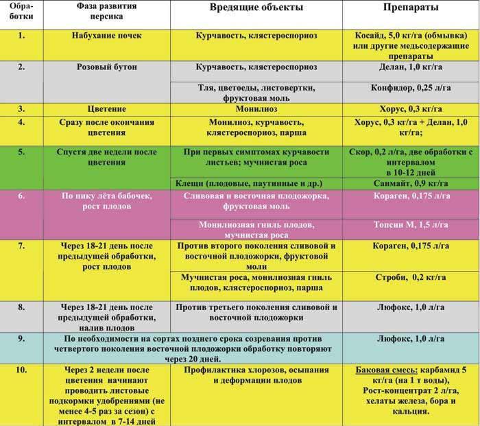 Обработка деревьев от вредителей и болезней - sadovnikam.ru