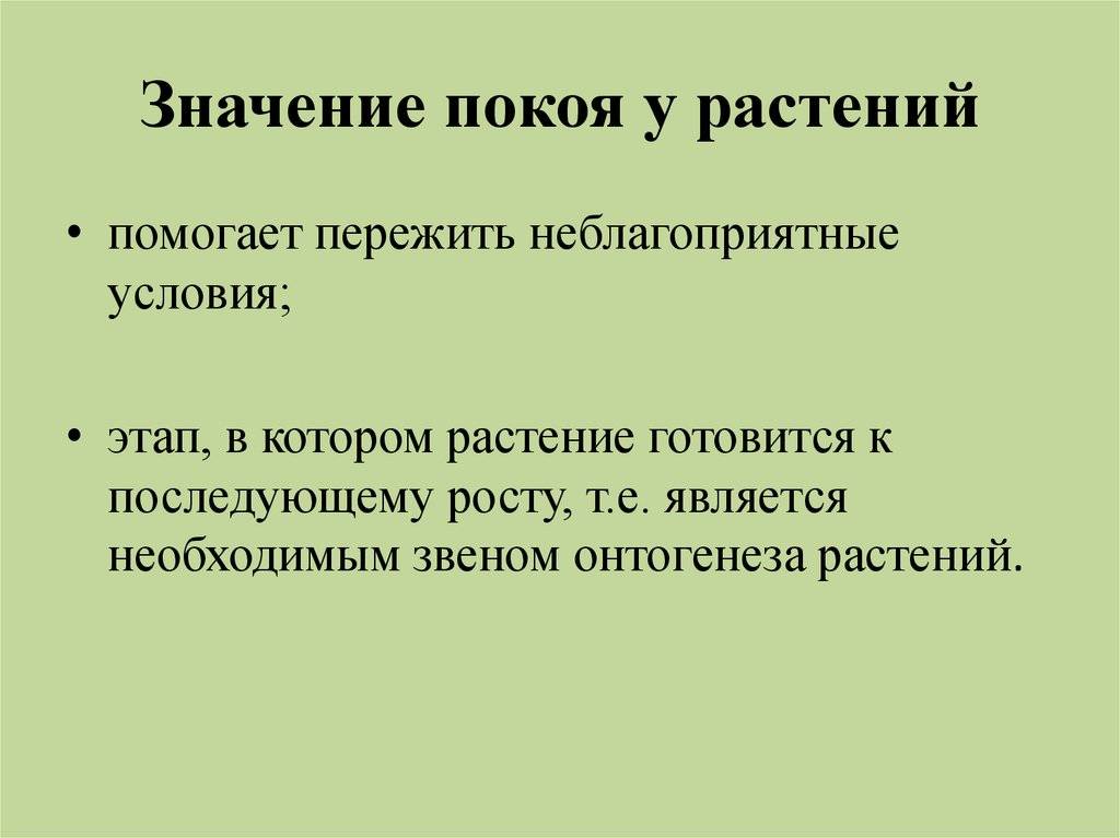 Гиппеаструм: период покоя и подготовка к цветению / асиенда.ру