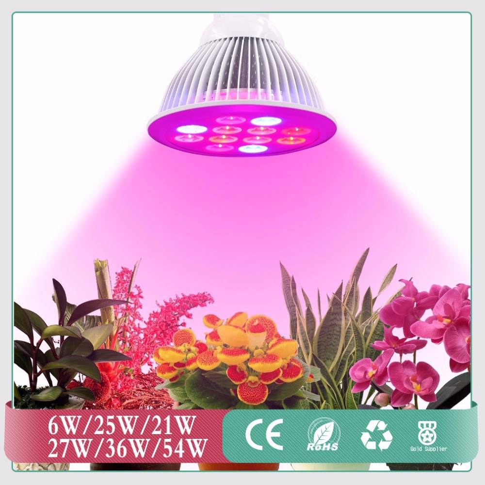 Лампы для растений в домашних условиях и светодиодная подсветка