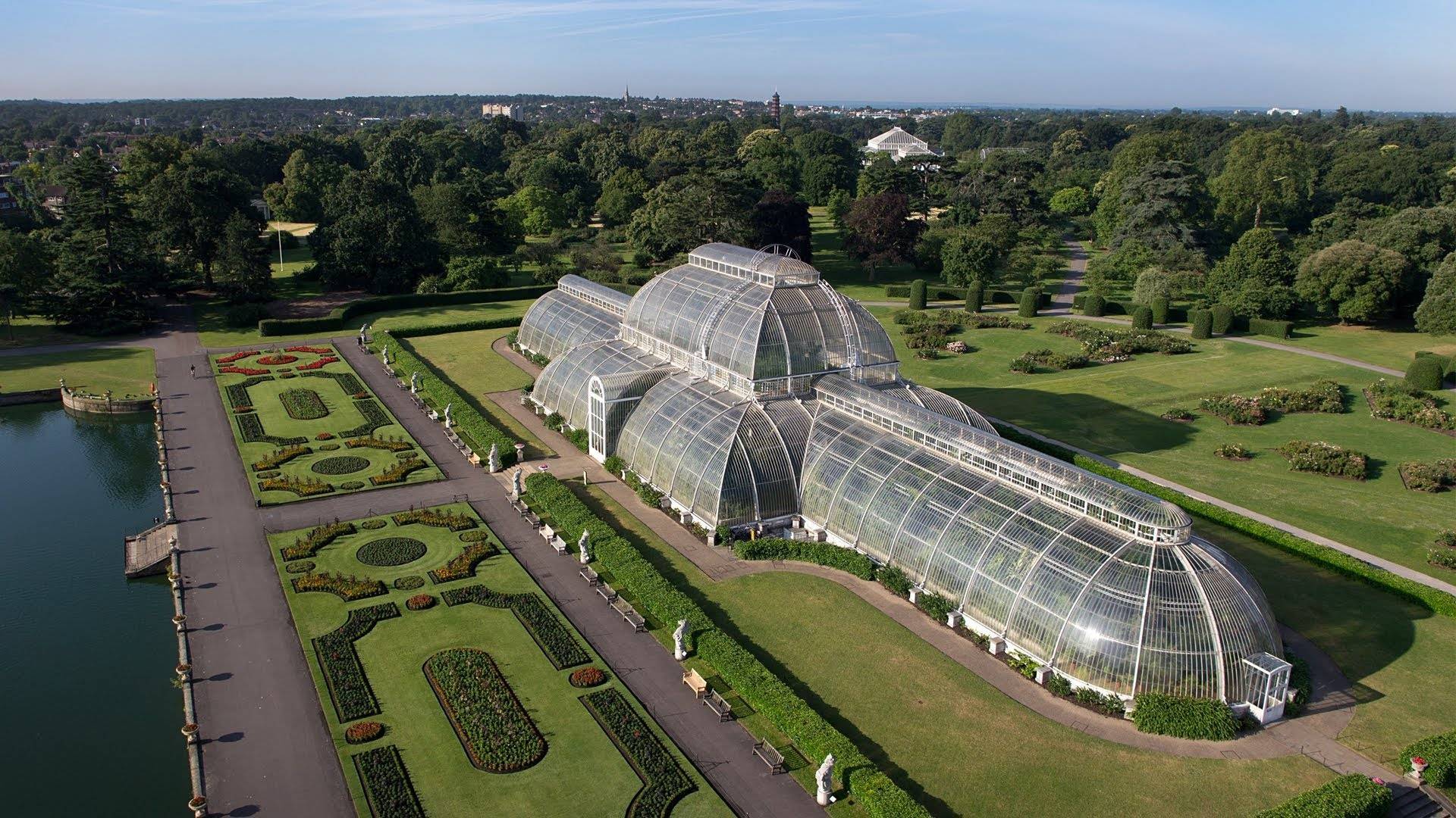 Королевские ботанические сады кью гарденс в лондоне