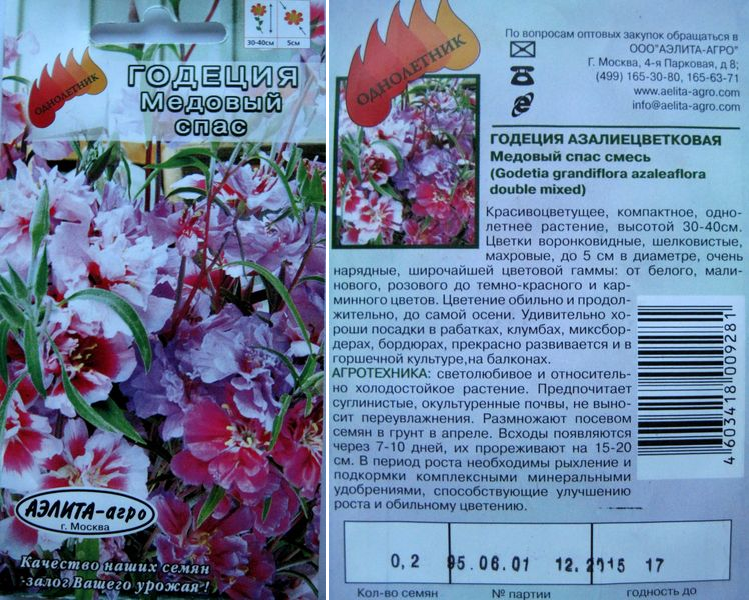 ᐉ цветок годеция: посадка и уход, фото, выращивание из семян в открытом грунте - roza-zanoza.ru
