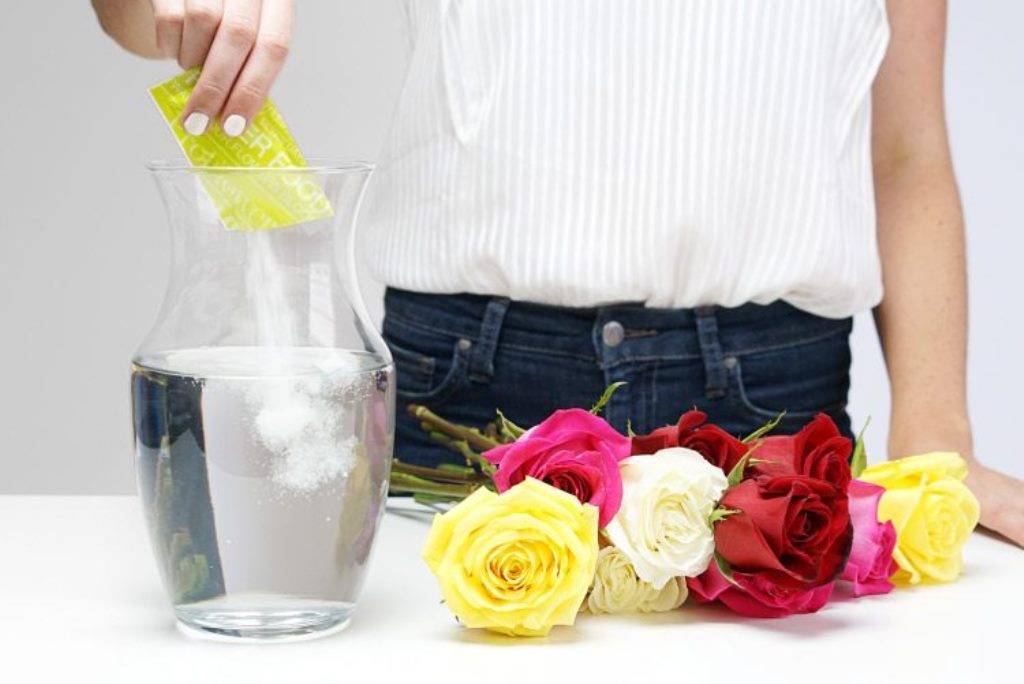 Как сохранить цветы в вазе подольше: простые советы