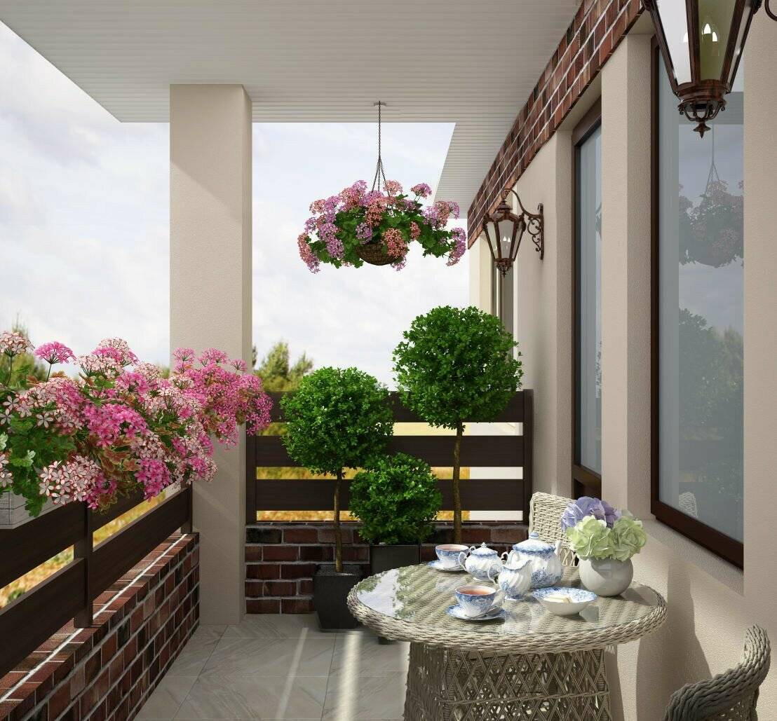 Озеленение балкона цветами, подбор цветов для балконов