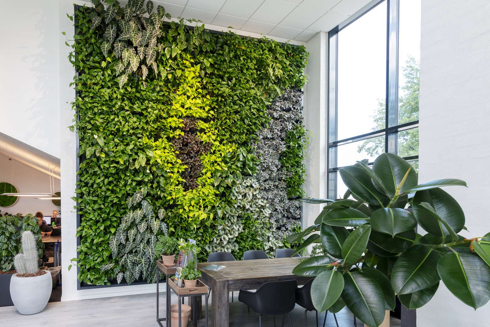 Озеленение интерьера – новые возможности дизайна помещений