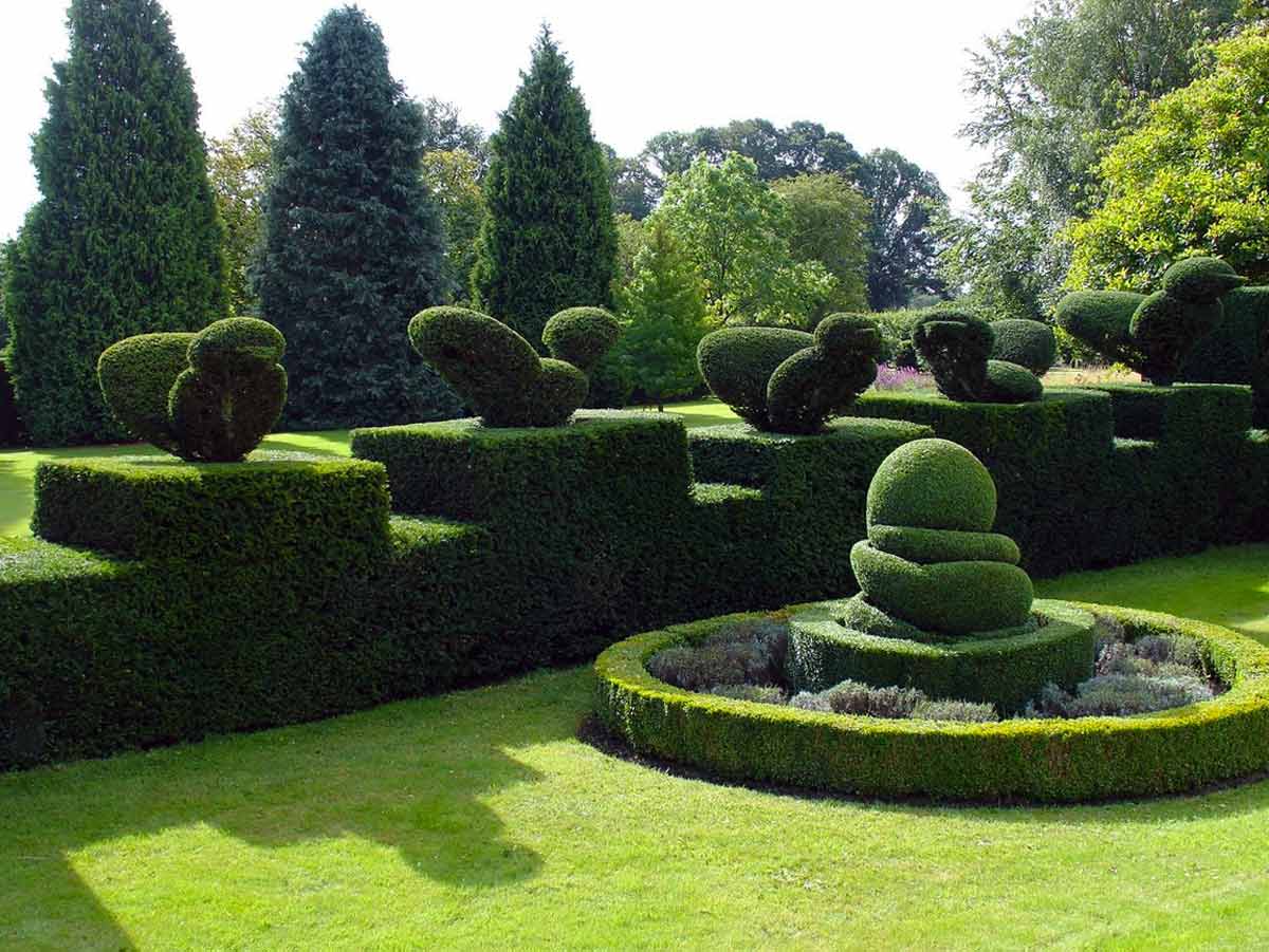 ᐉ левенс холл – самый красивый топиарный сад англии - hydrosad.ru