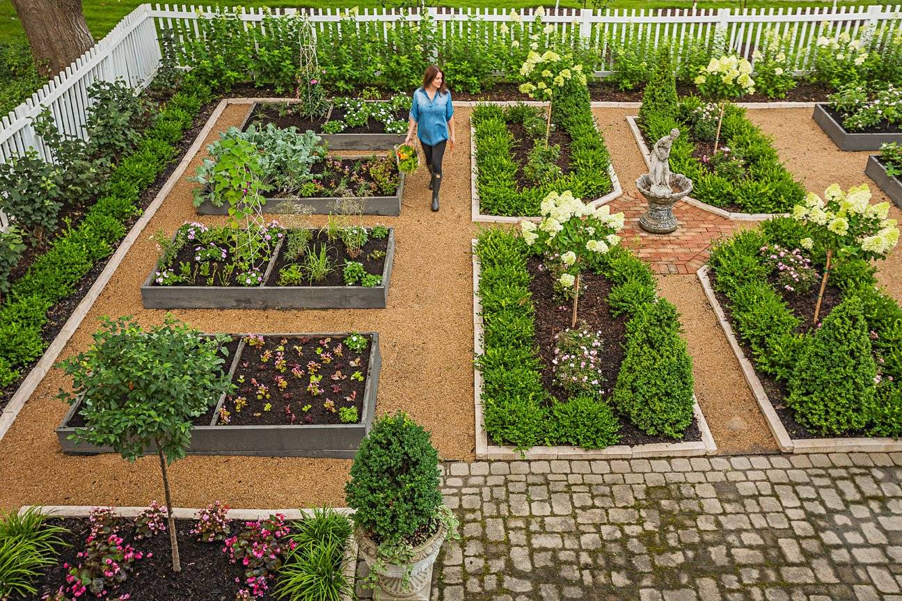 Декоративный огород: принципы оформления | моя дача
декоративный огород: как правильно его обустроить | моя дача