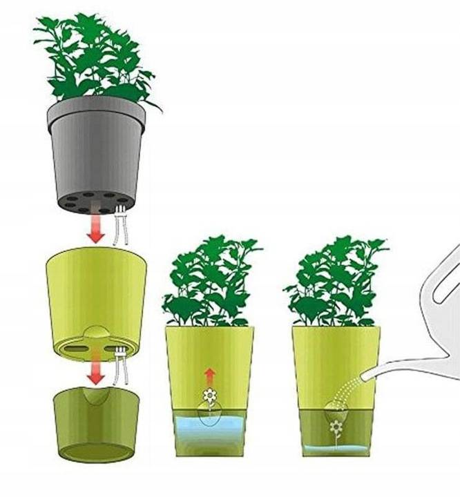Использование дренажа при выращивании комнатных растений