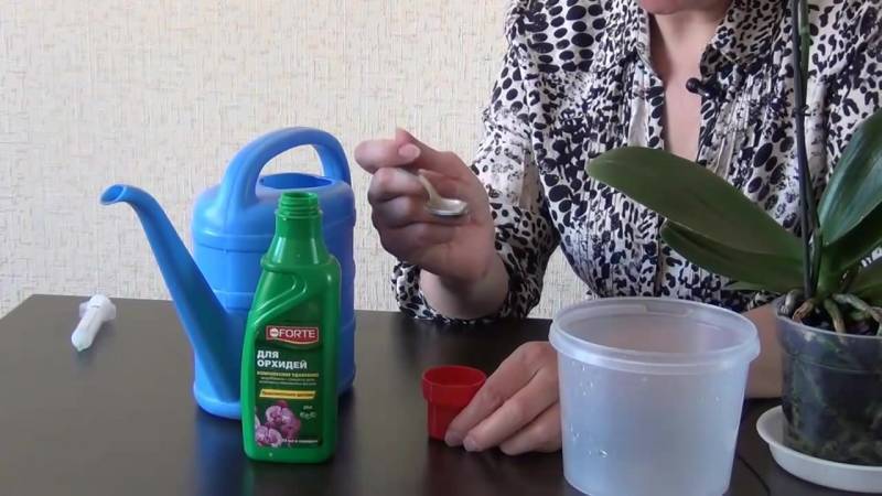 Правила применения и рецепт чесночной воды для орхидей