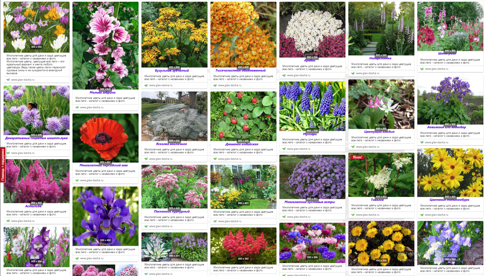 Садовые цветы: названия, фото самых популярных однолетних и многолетних цветущих растений