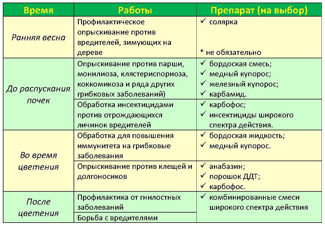 Правила обработки крыжовника от вредителей - plodovie.ru