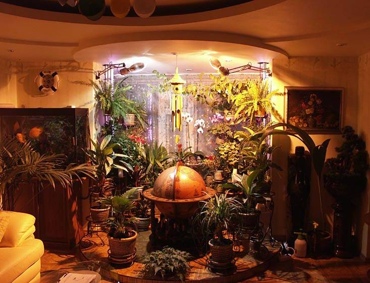Освещение для комнатных растений и цветов: обзор!