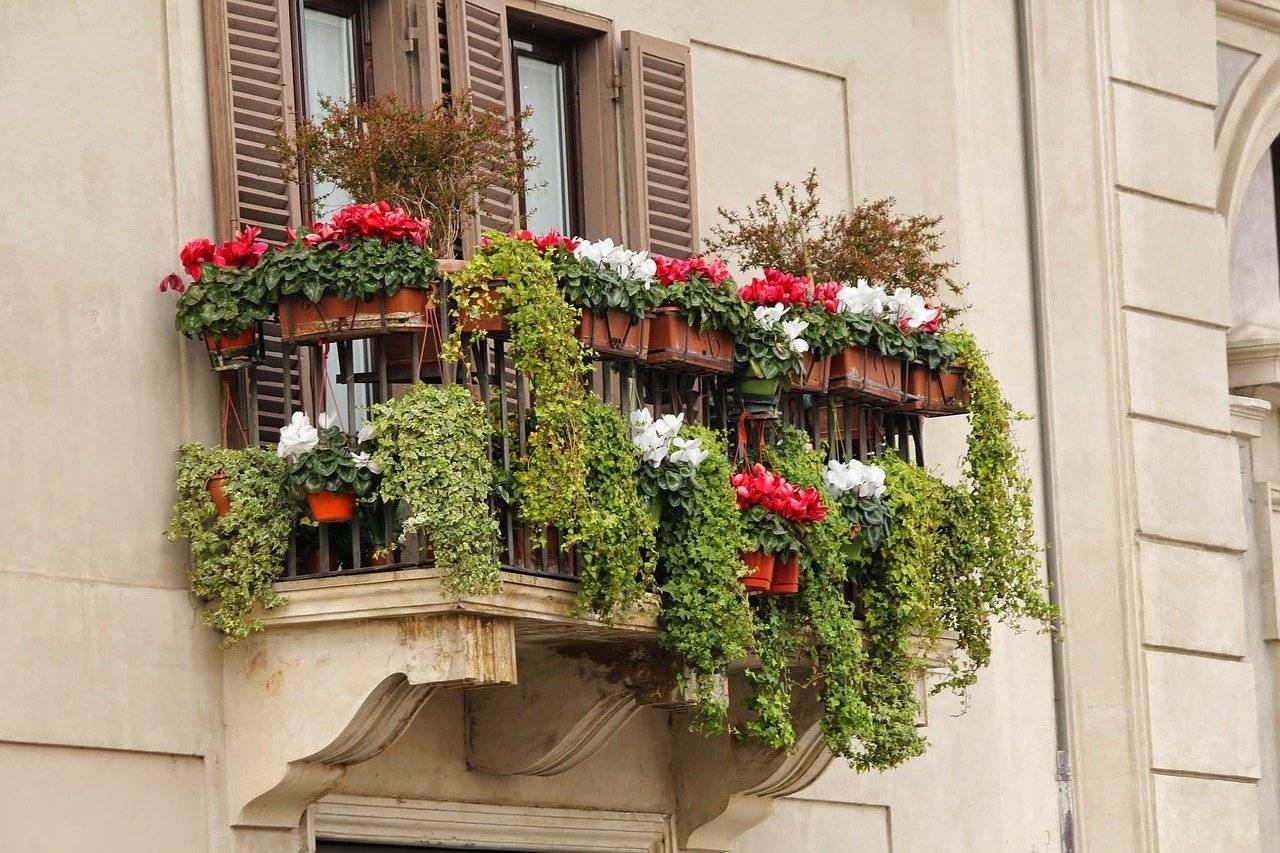 Озеленение балкона: советы эксперта по оформлению