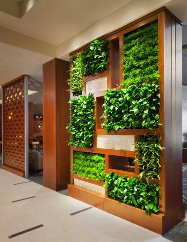 Вертикальное озеленение в квартире: установка своими руками
