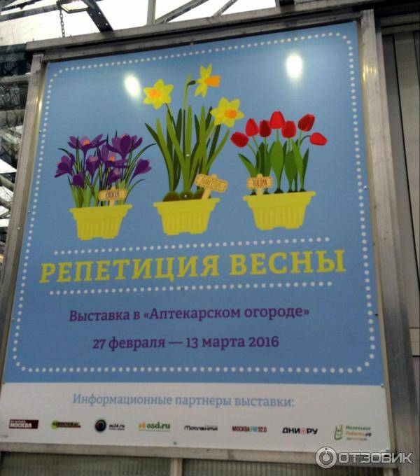 Фестиваль орхидей, хищных растений и суккулентов «тропическая зима-2022».
