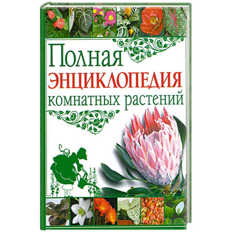 Комнатные цветы (100 фото) - каталог с названиями и описаниями | огородникам инфо