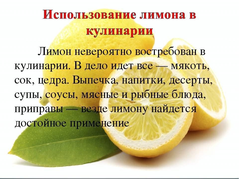 Где растет лимон: описание, страна и интересные факты