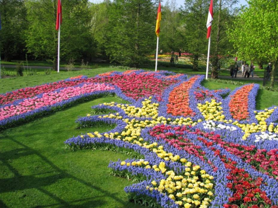 Весенняя выставка цветов в голландии - 7 дней | туроператор «северная жемчужина»
