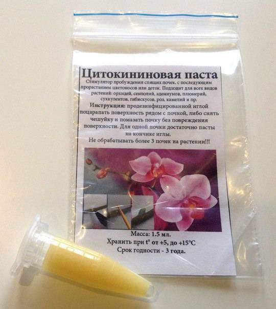Цитокининовая паста для орхидей: особенности, правила использования и хранения