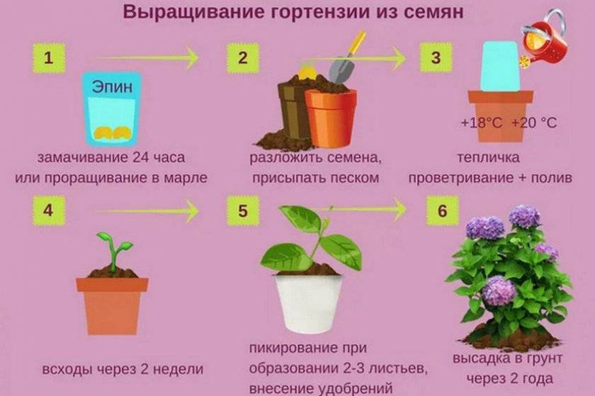 ✅ лучшие удобрения для комнатных растений: чем подкормить комнатные цветы в домашних условиях, подборка, правила