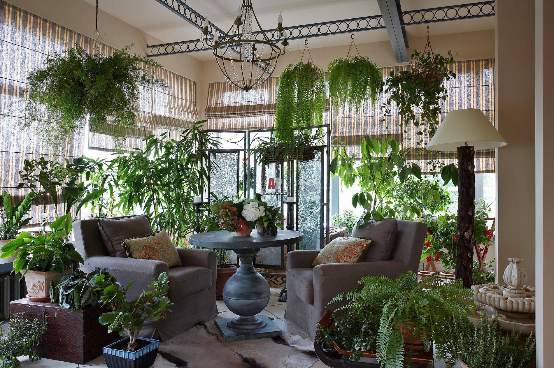 Зимний сад и оранжерея в частном доме: остекление дома с зимним садом - holz house