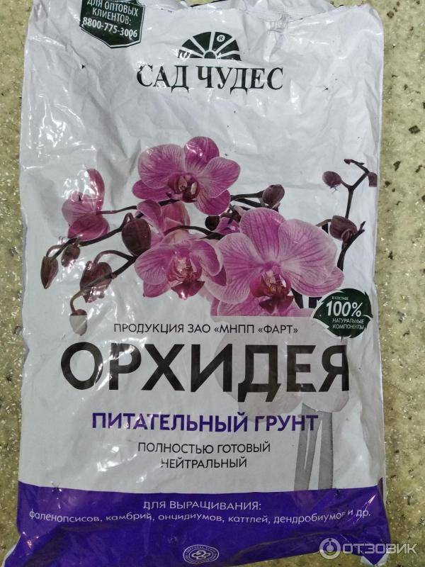 Субстрат для орхидей: основные требования к компонентам :: syl.ru