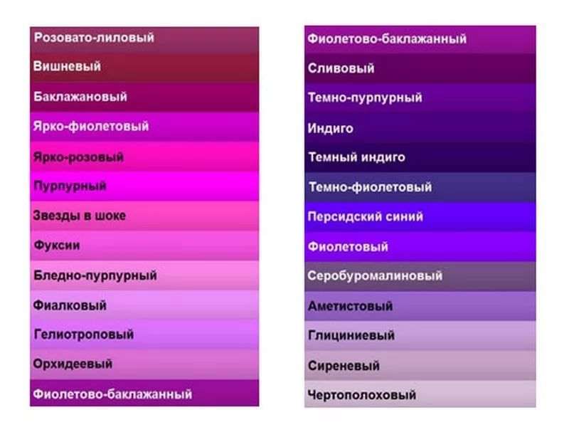 Какие бывают сорта роз фиолетового, сиреневого и лилового цветов: разновидности