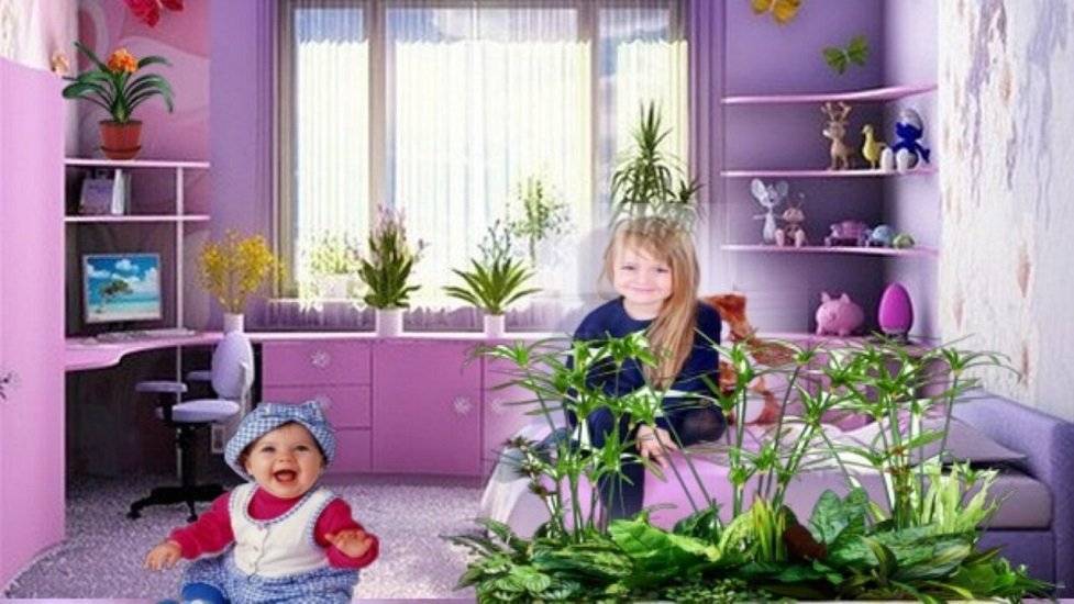 Какие комнатные растения можно посадить в детскую комнату?