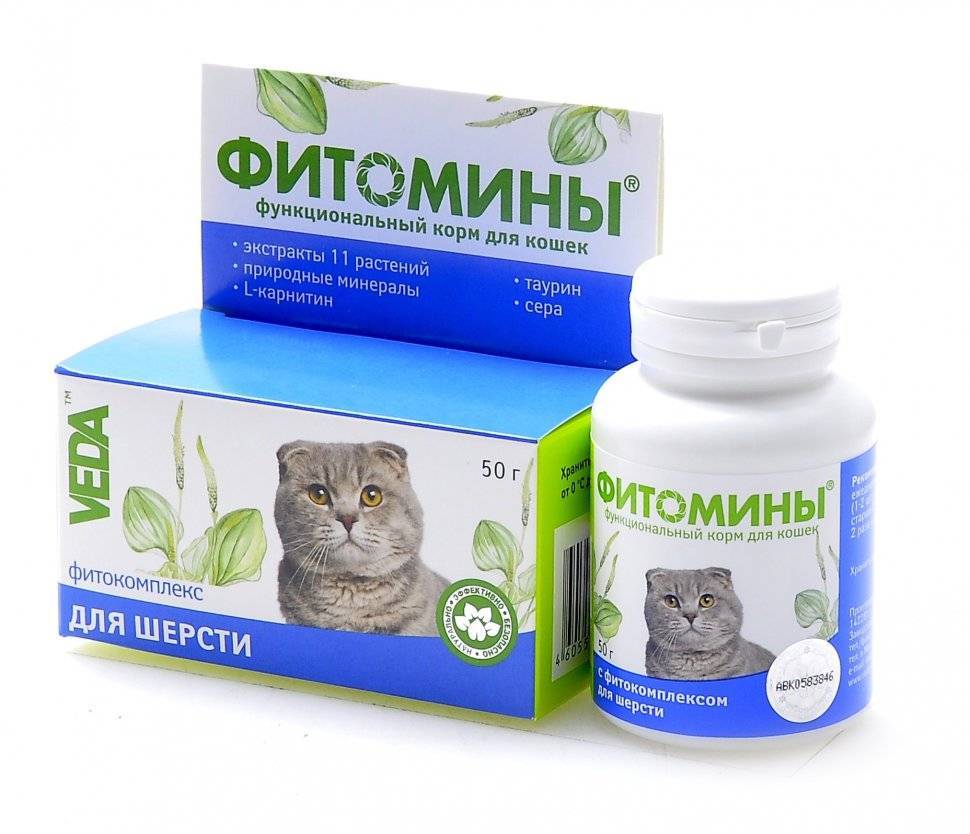 Витамины для кошек: список лучших витаминов для кожи, шерсти и поддержания иммунитета