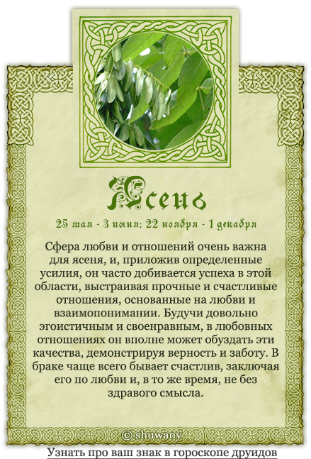 Древесный гороскоп друидов: характер по дню рождения, совместимость знаков